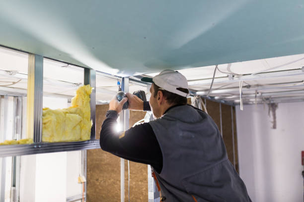 Best Blown-in Insulation in Douglass Hills, KY