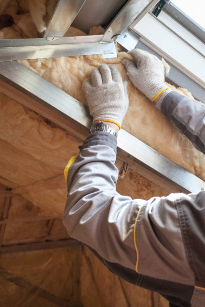 Best Energy Efficiency Insulation in Douglass Hills, KY