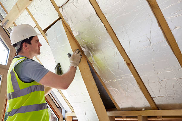 Best Eco-Friendly Insulation in Douglass Hills, KY