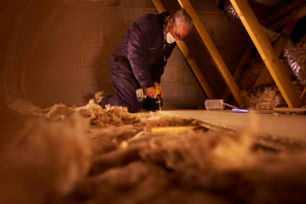 Best Insulation for Specific Applications in Douglass Hills, KY